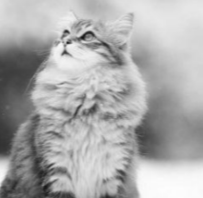Задача про теплоту растворения